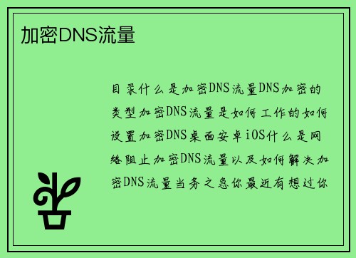 加密DNS流量 