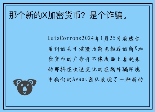 那个新的X加密货币？是个诈骗。